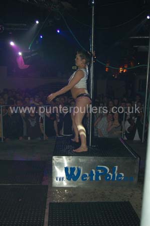 amadeus wet pole 29-1-08 (3)