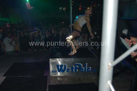 amadeus wet pole 29-1-08 (6)